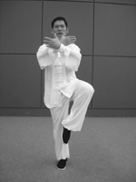 Vincent Chu Practicing Tai Chi