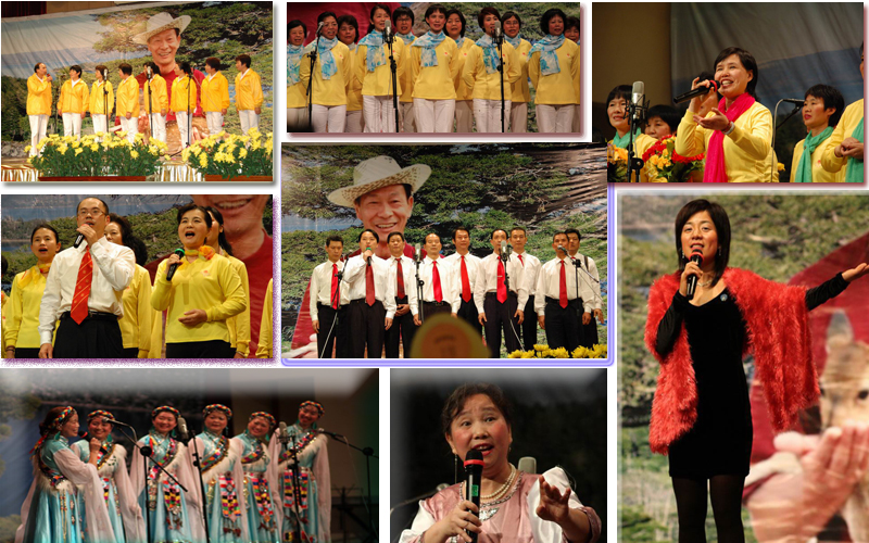 Montage of Singers Performances